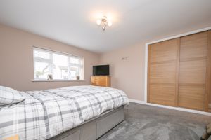 THE CONIFERS- click for photo gallery